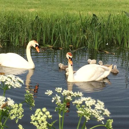 Friesland-Cottage Молкверюм Екстер'єр фото