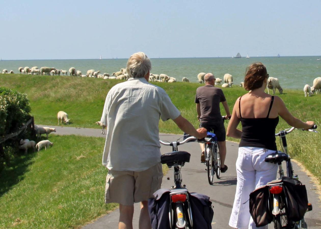 Friesland-Cottage Молкверюм Екстер'єр фото